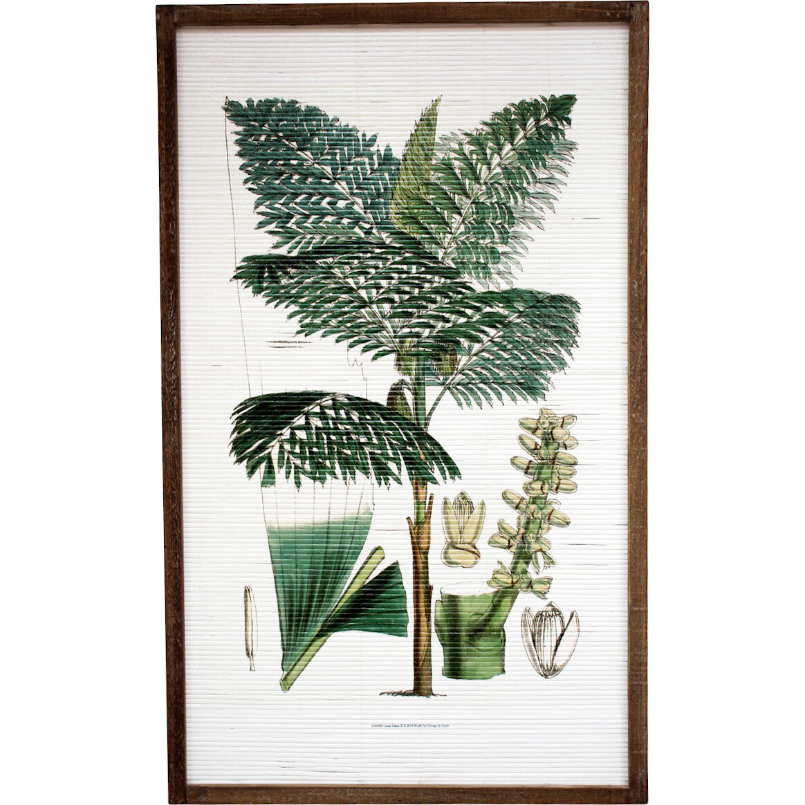 Framed Bamboo 3