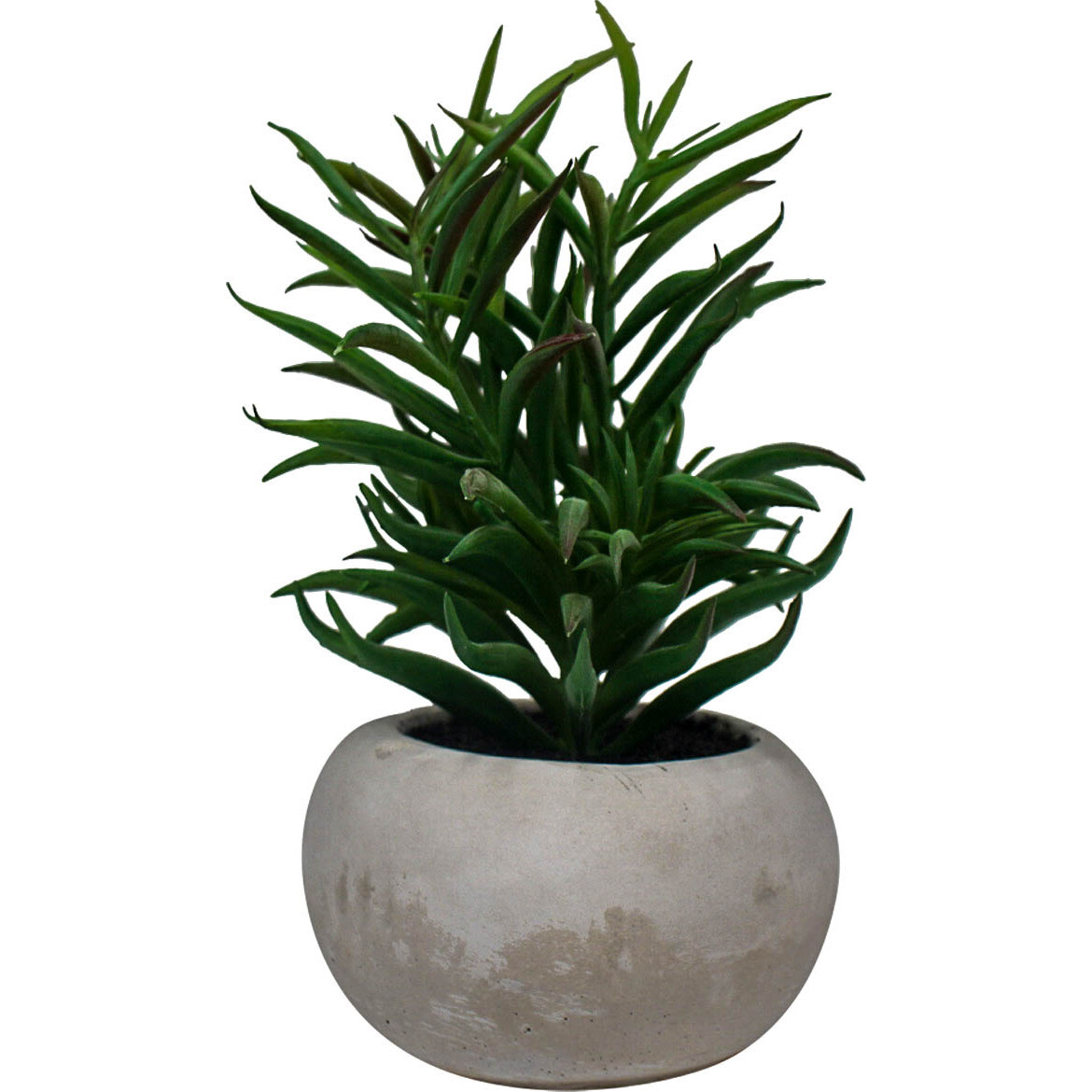 Succulent Cement Pot 3