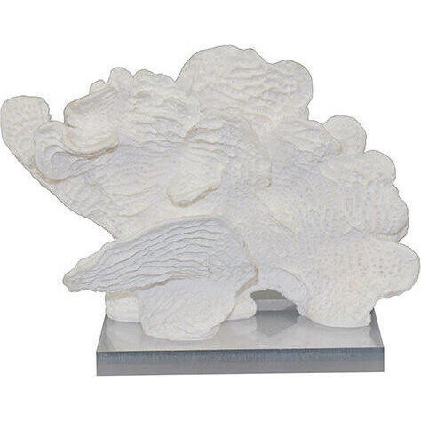 Coral Wave White