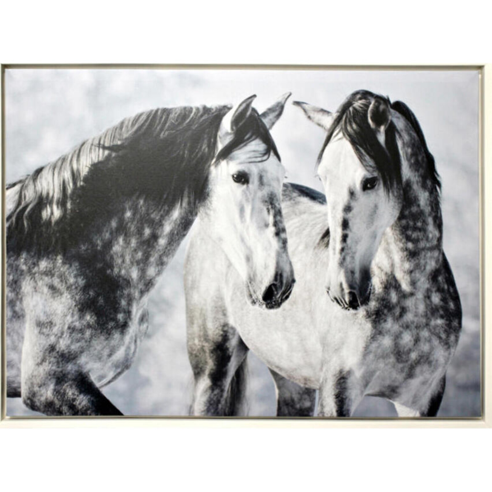 Framed Canvas Dapple Horses