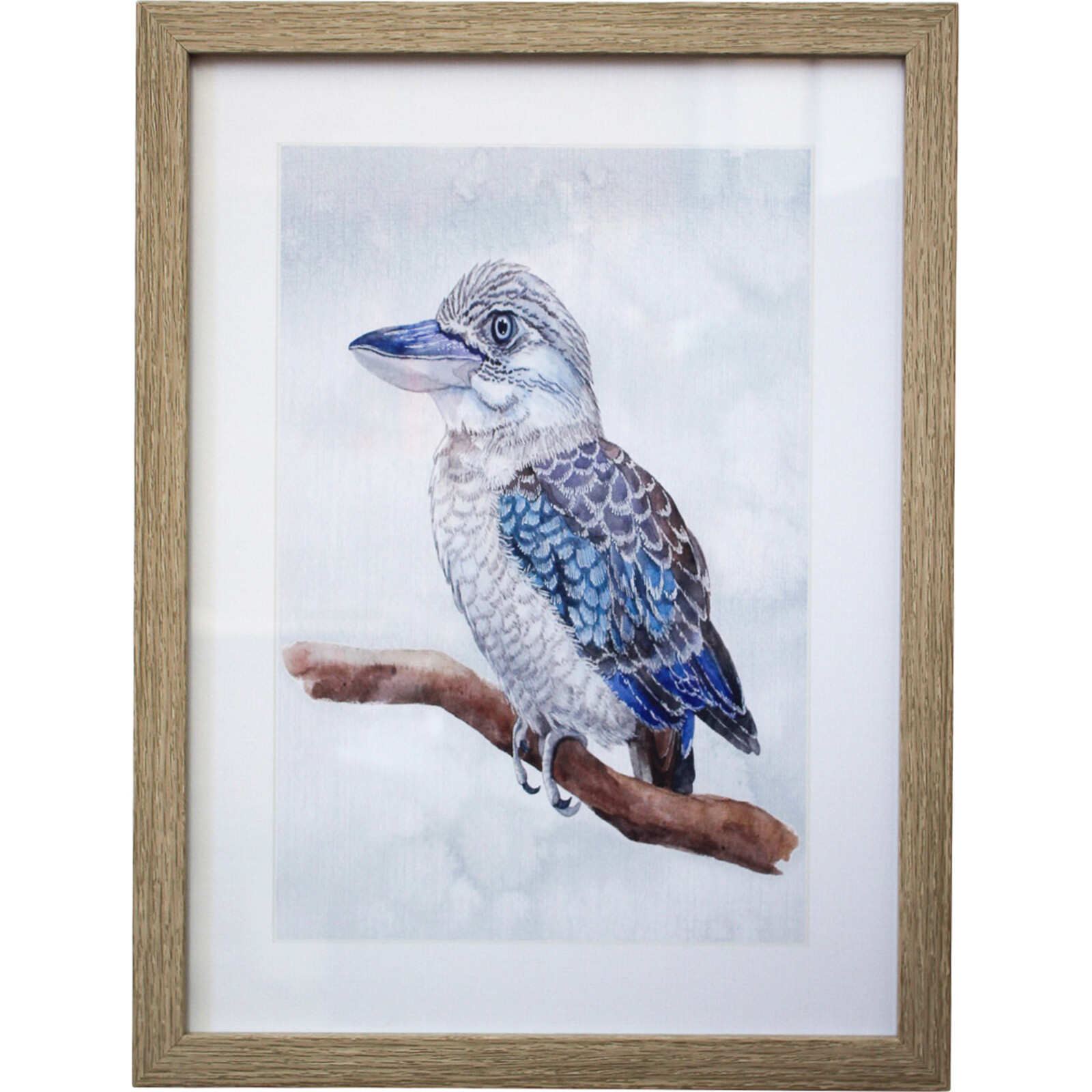 Framed Print Kookaburra