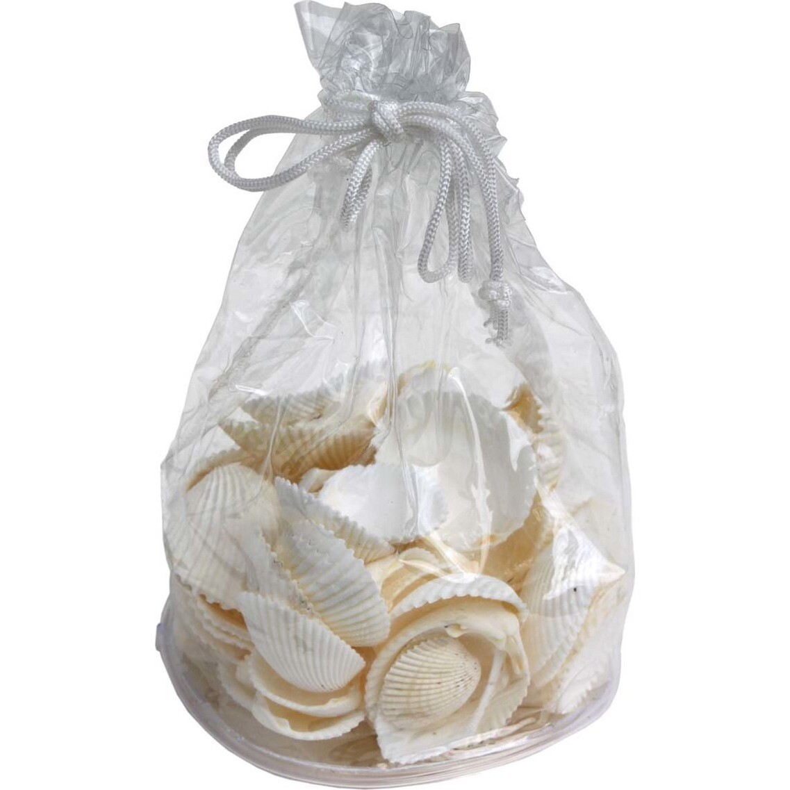 Shell Bag - White Radial