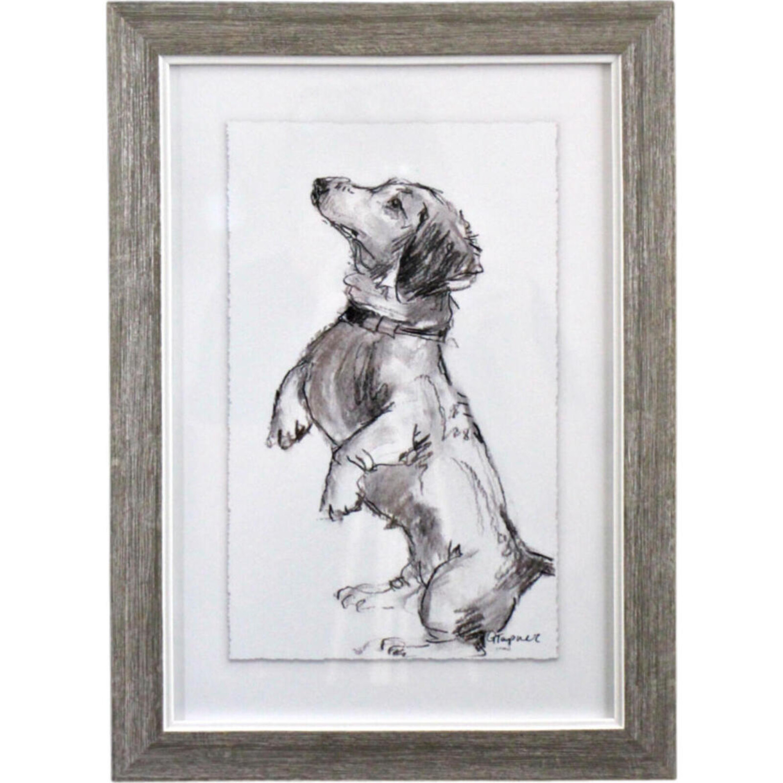 Framed Puppy Drawing 3