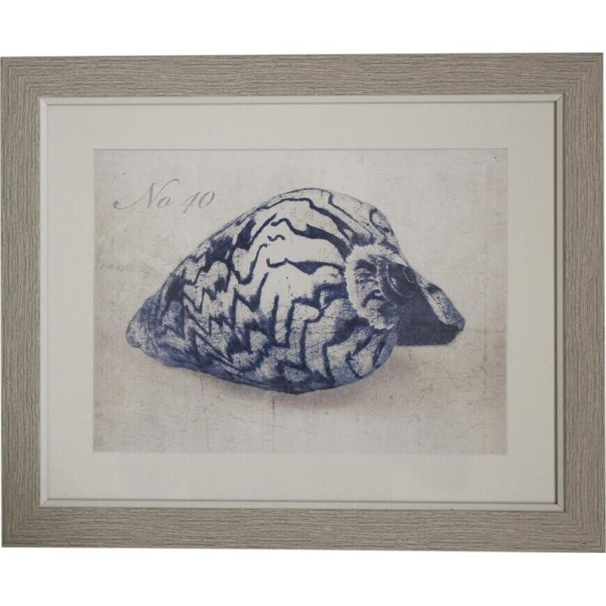 Framed Print Blue shell 1