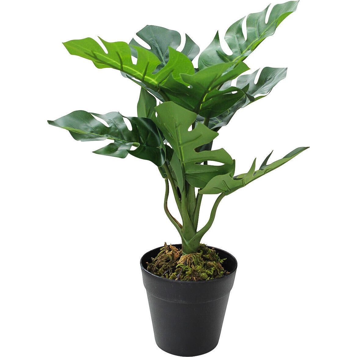 Faux Monsteria Plant Med