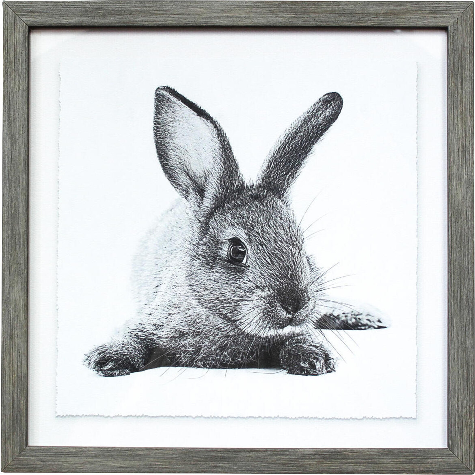 Framed Print Bunny Whiskers