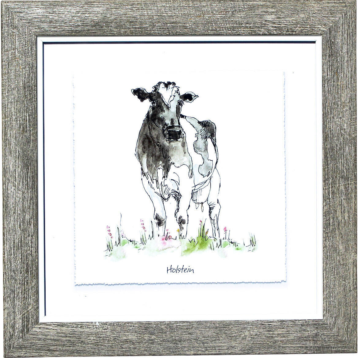 Framed Print Angus