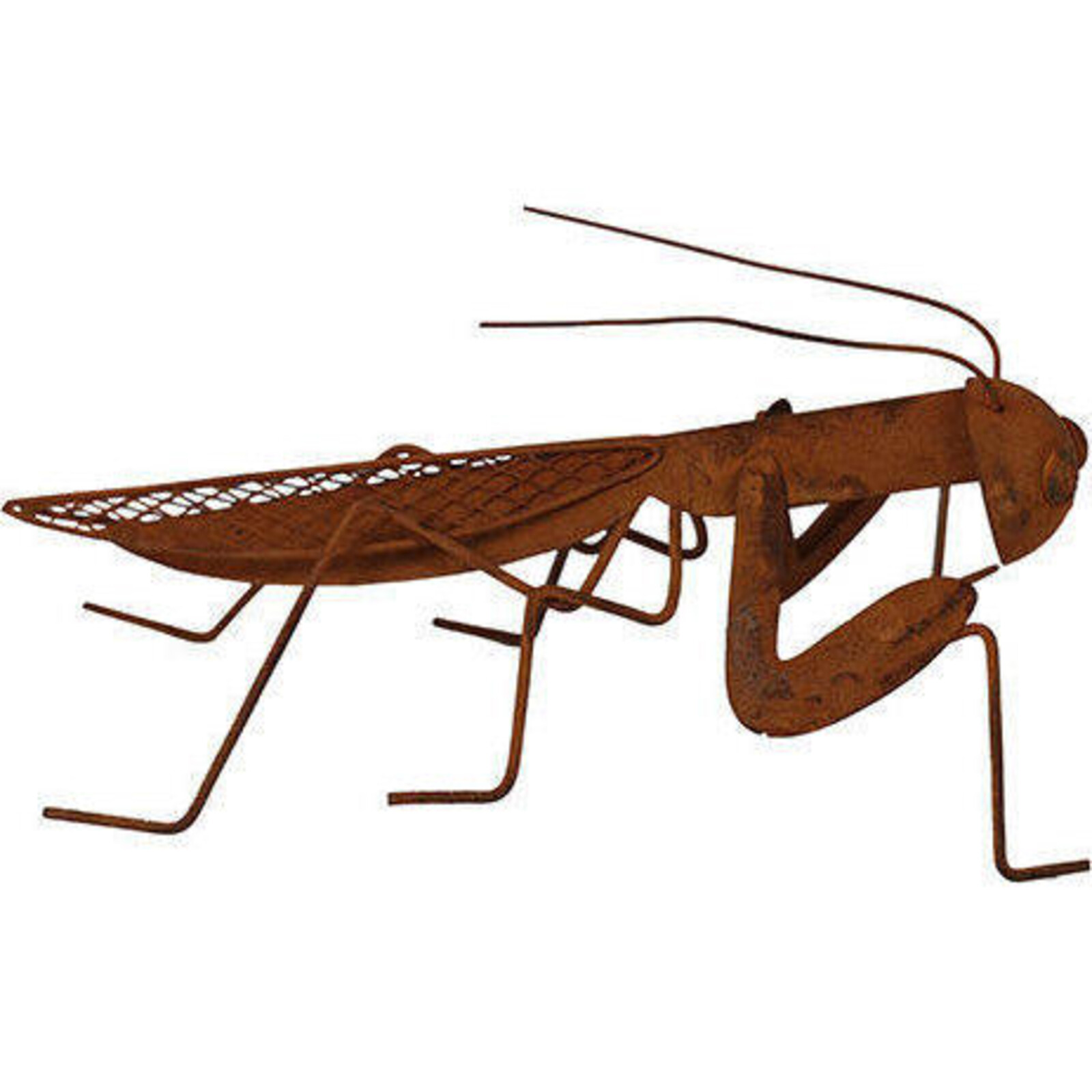 Grasshopper Decor Rust
