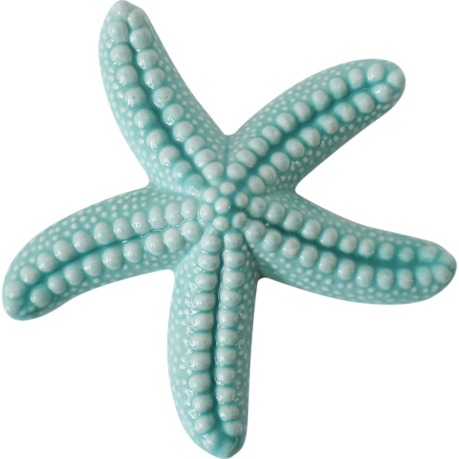 Starfish Lrg Seafoam
