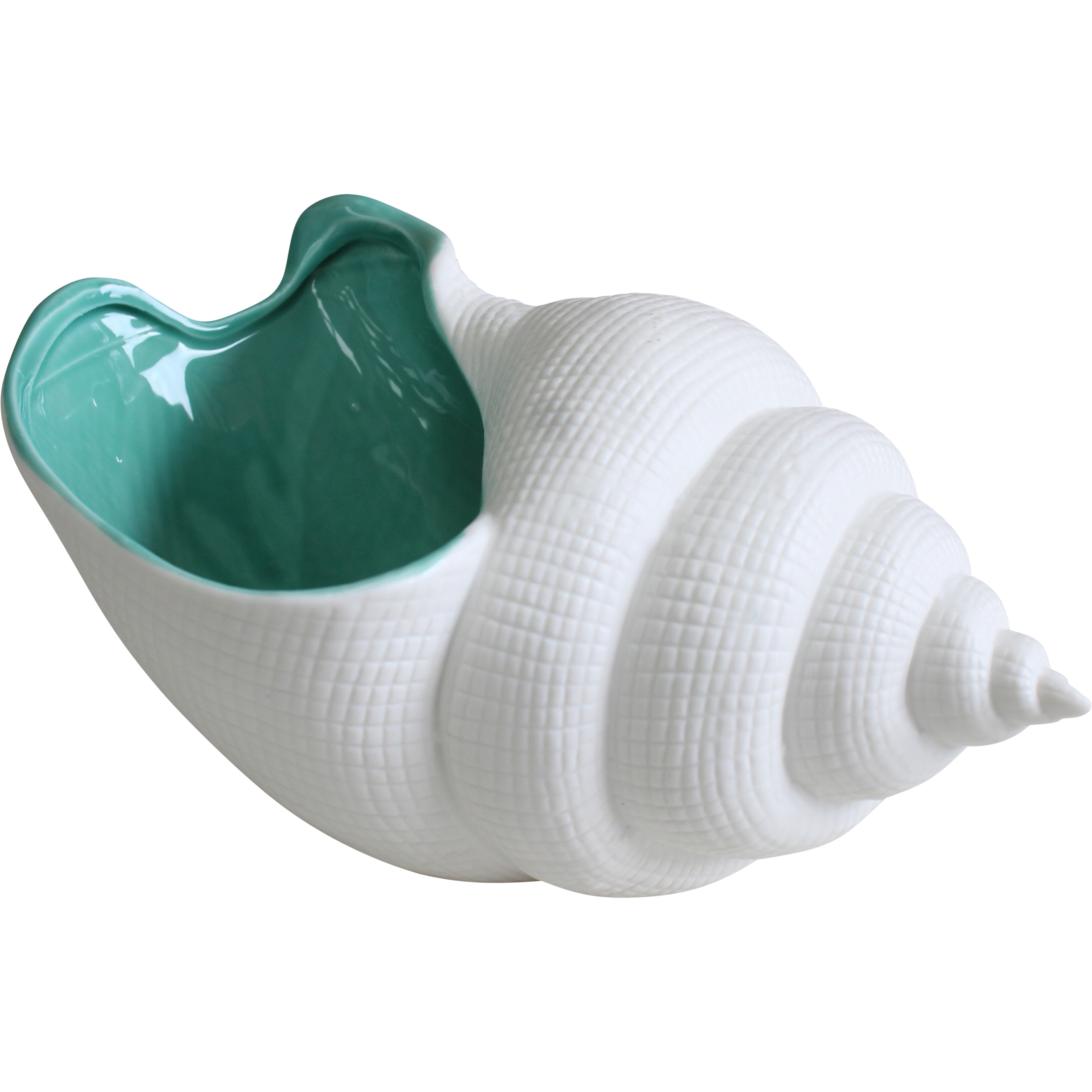 Tulip Shell Seafoam