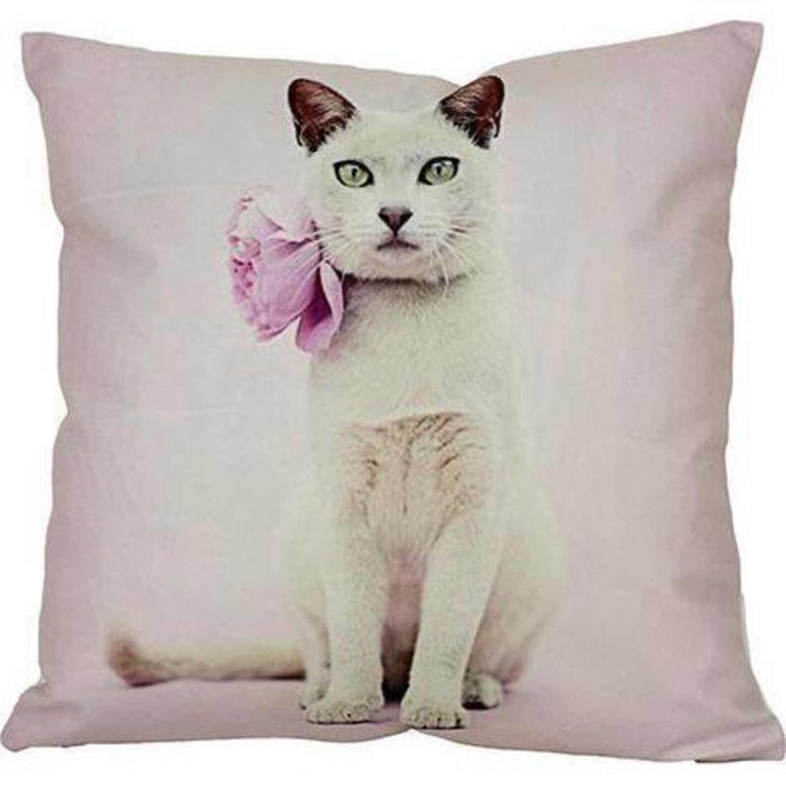 Cushion Violet Cat