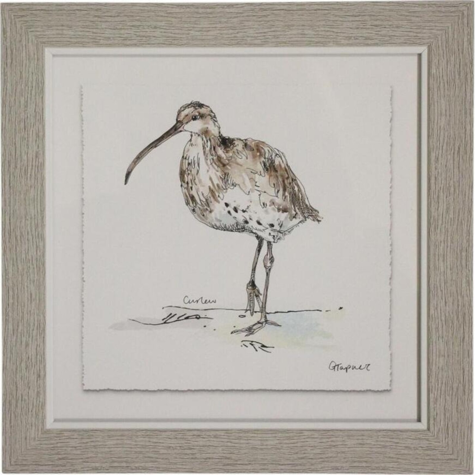Framed Print Curlew