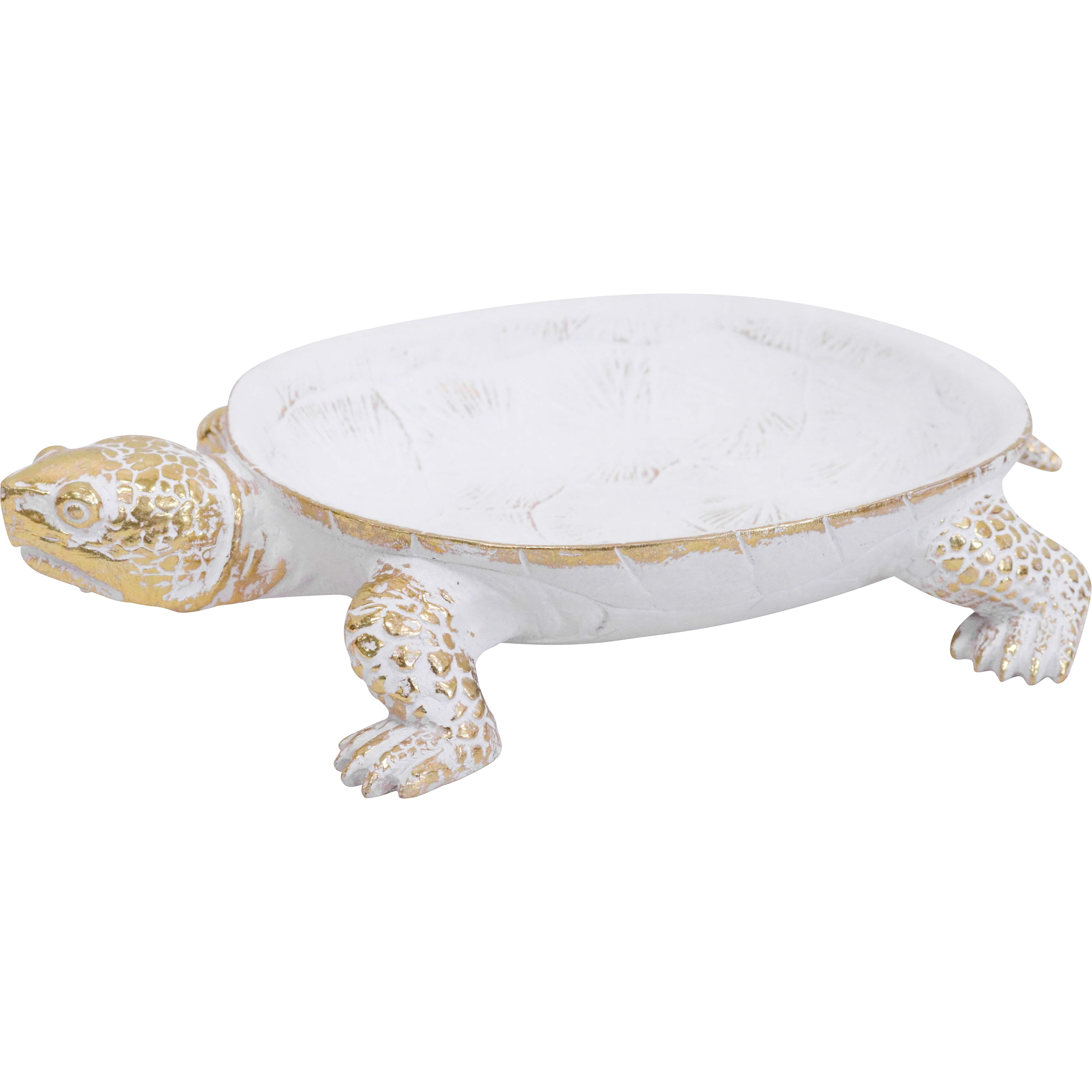 Turtle Tray