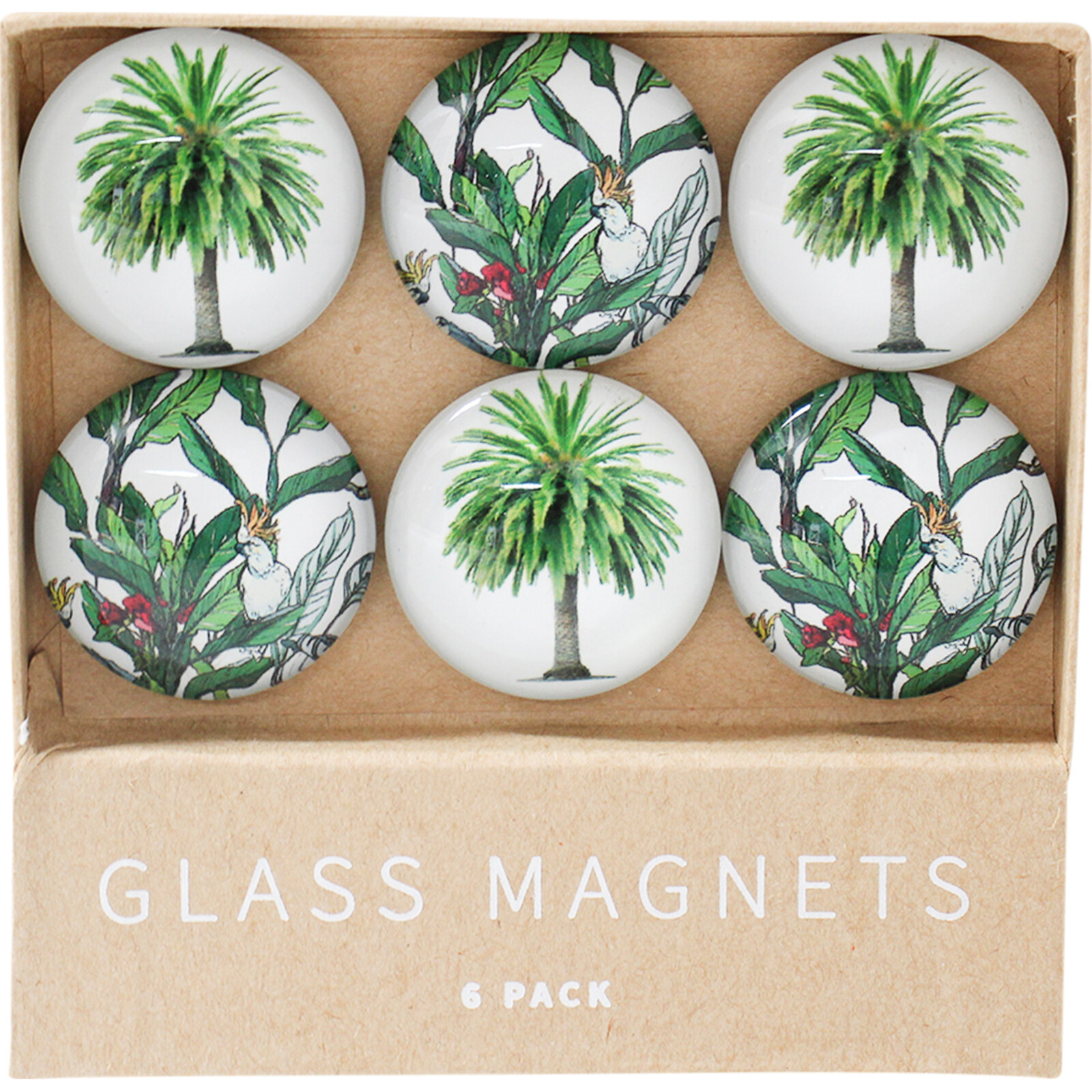 Glass Magnets Native Tropic S/6