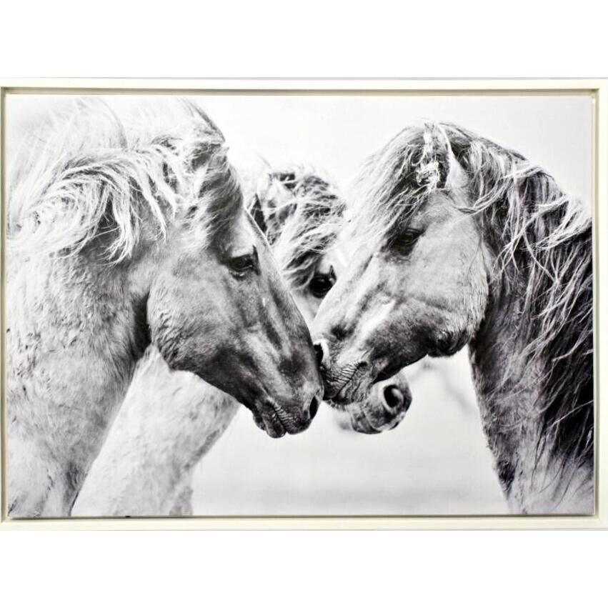 Framed Canvas Horse Kisses