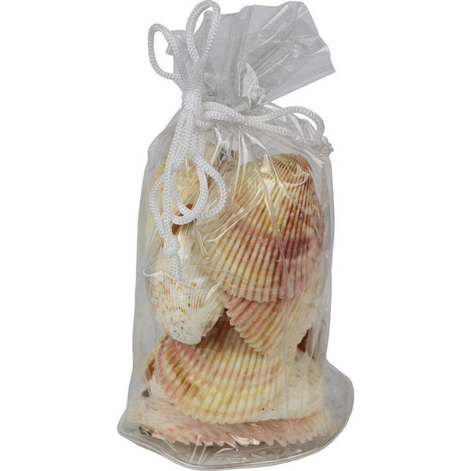 Shell Bag Large Scallop