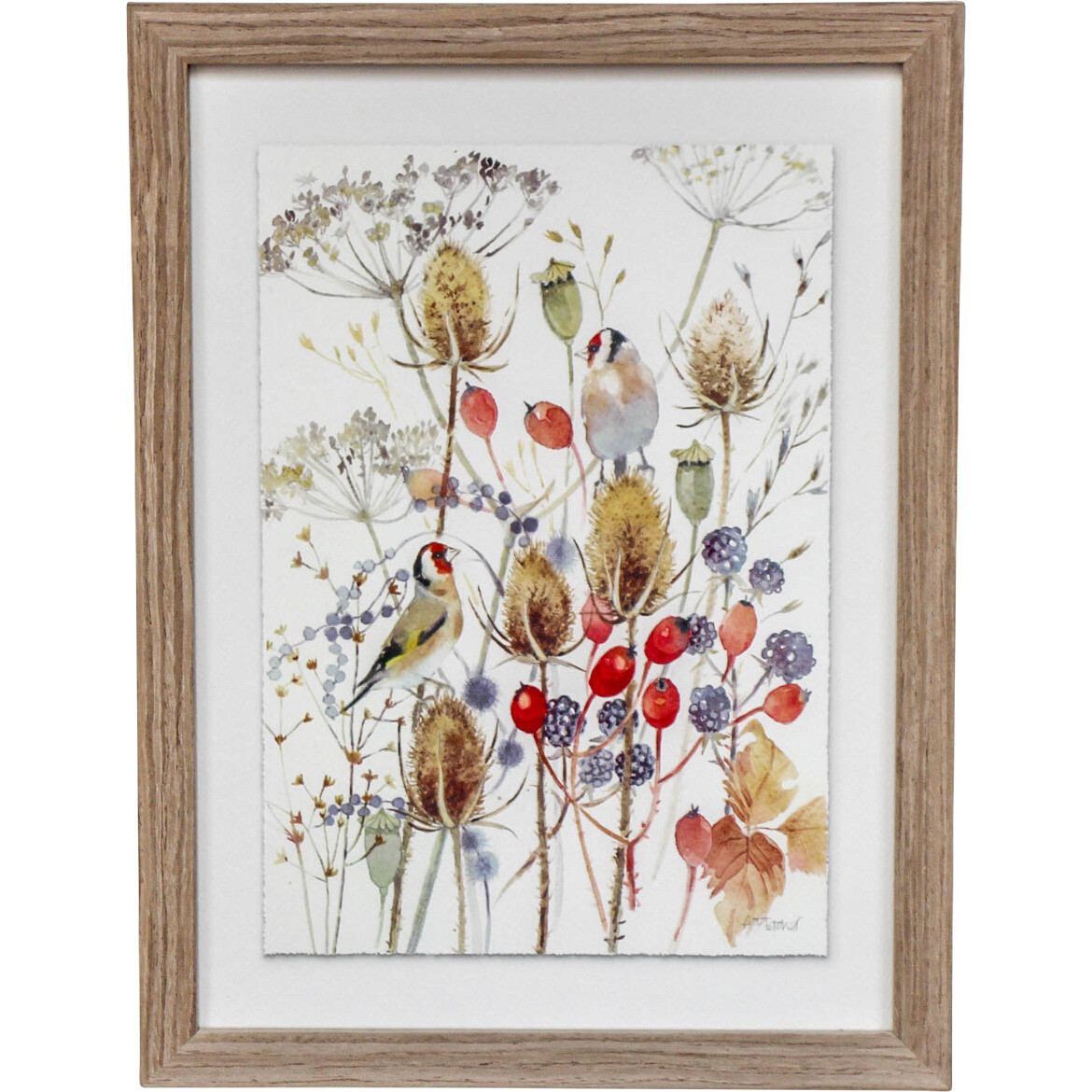 Framed Print Goldfinch