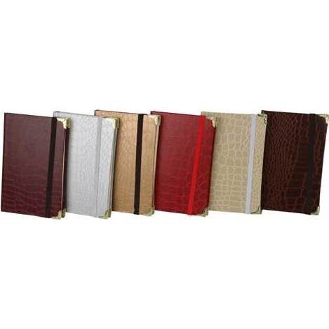 Notebook Aligator Shine Large S/24