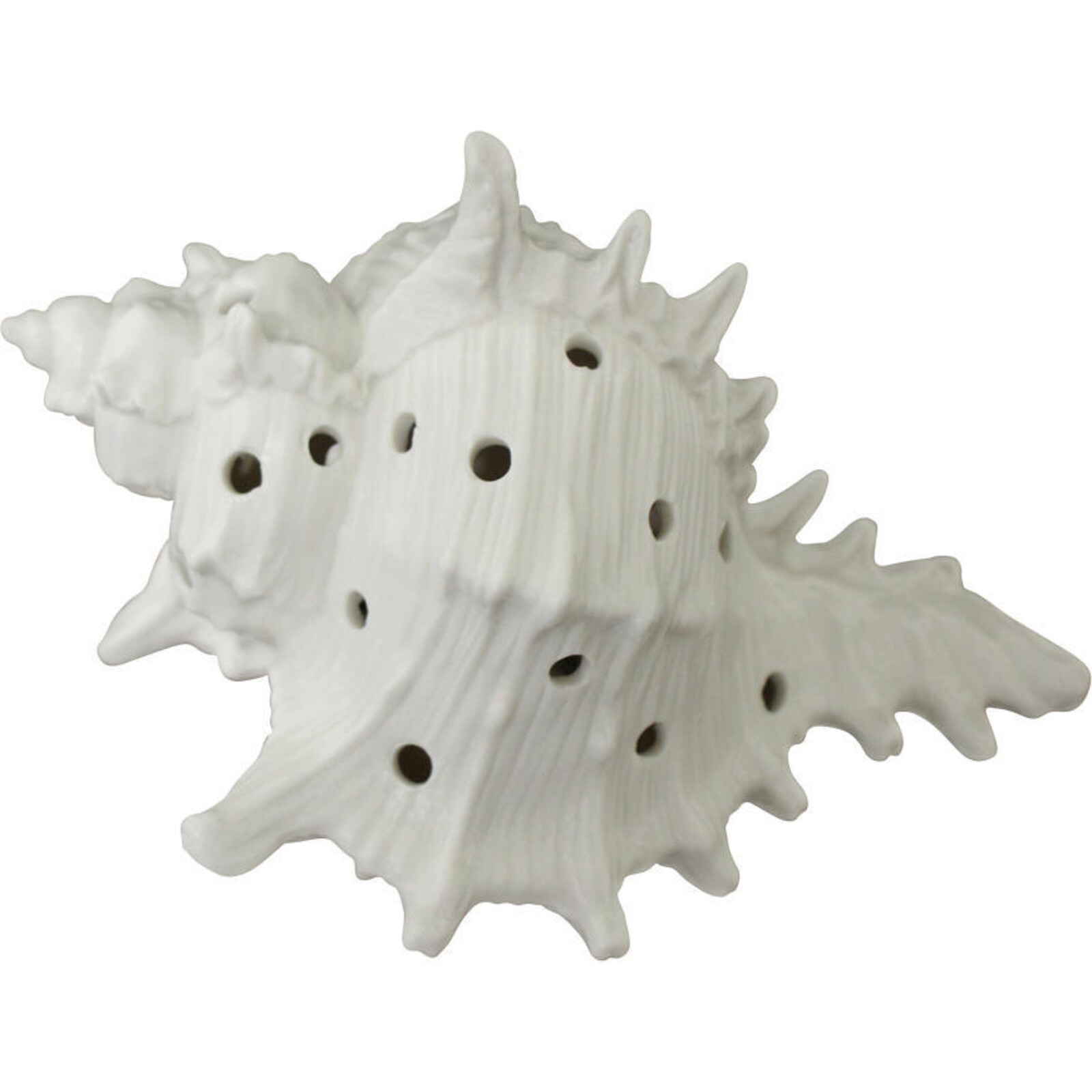 LED Shell Spiky White