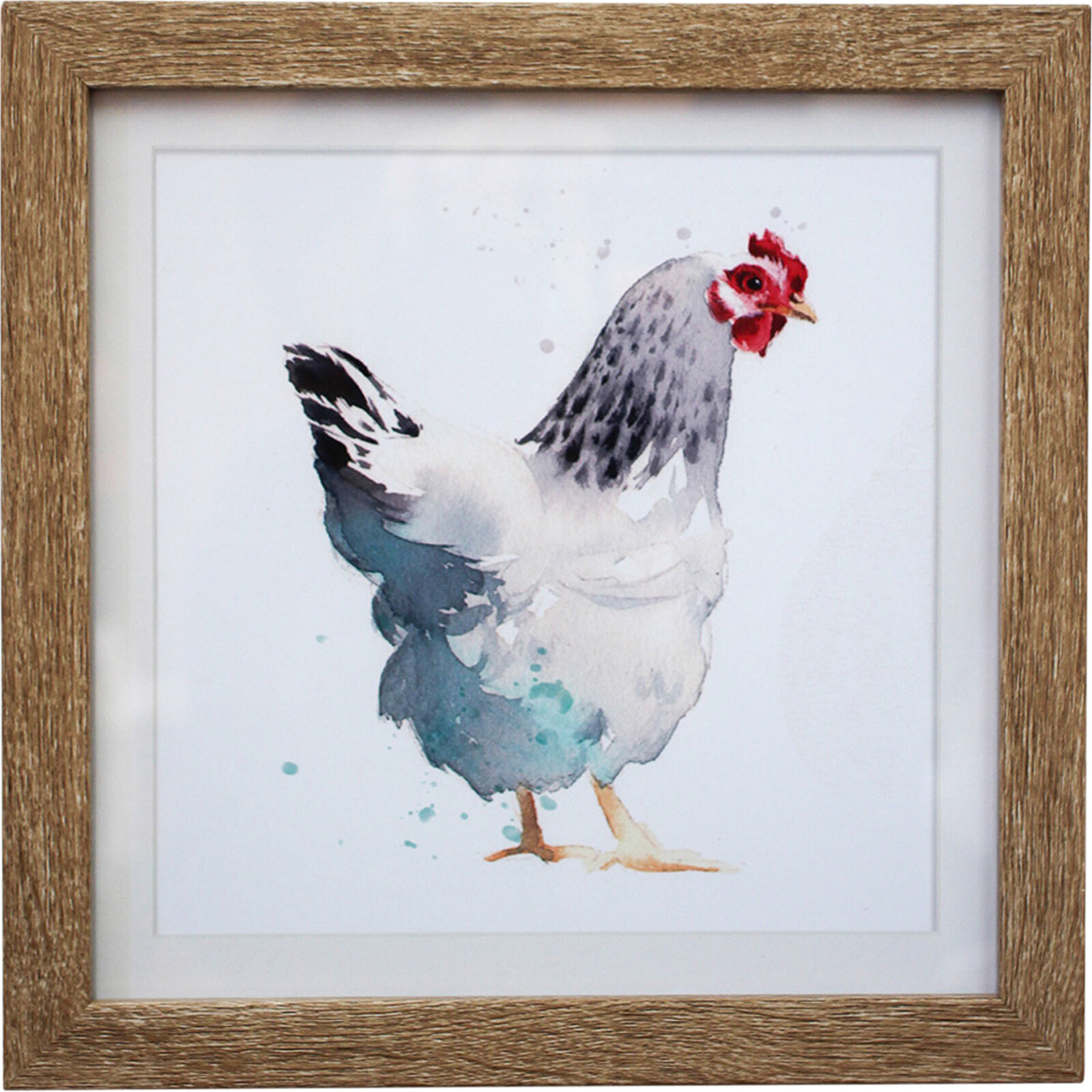 Framed Print Chicken 1