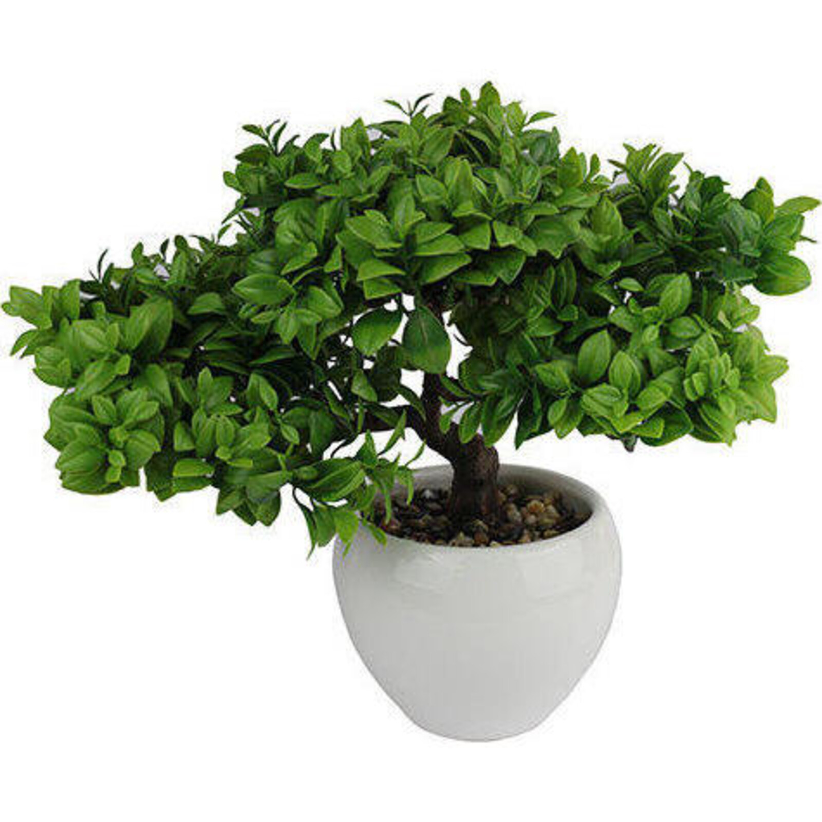 Replica Plant Bonsai Buxus