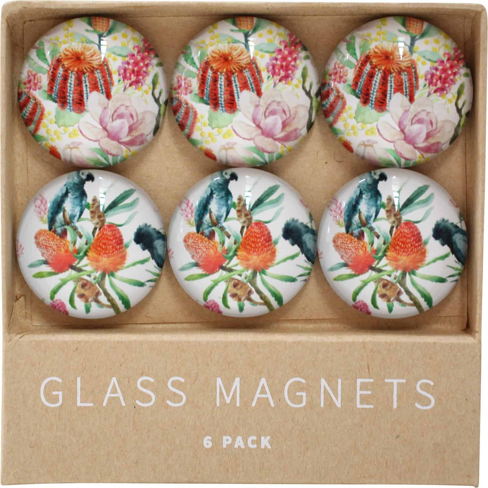Glass Magnets Native S/6