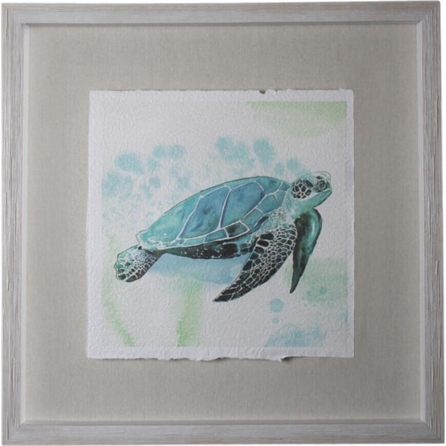 Framed Turtle Blue