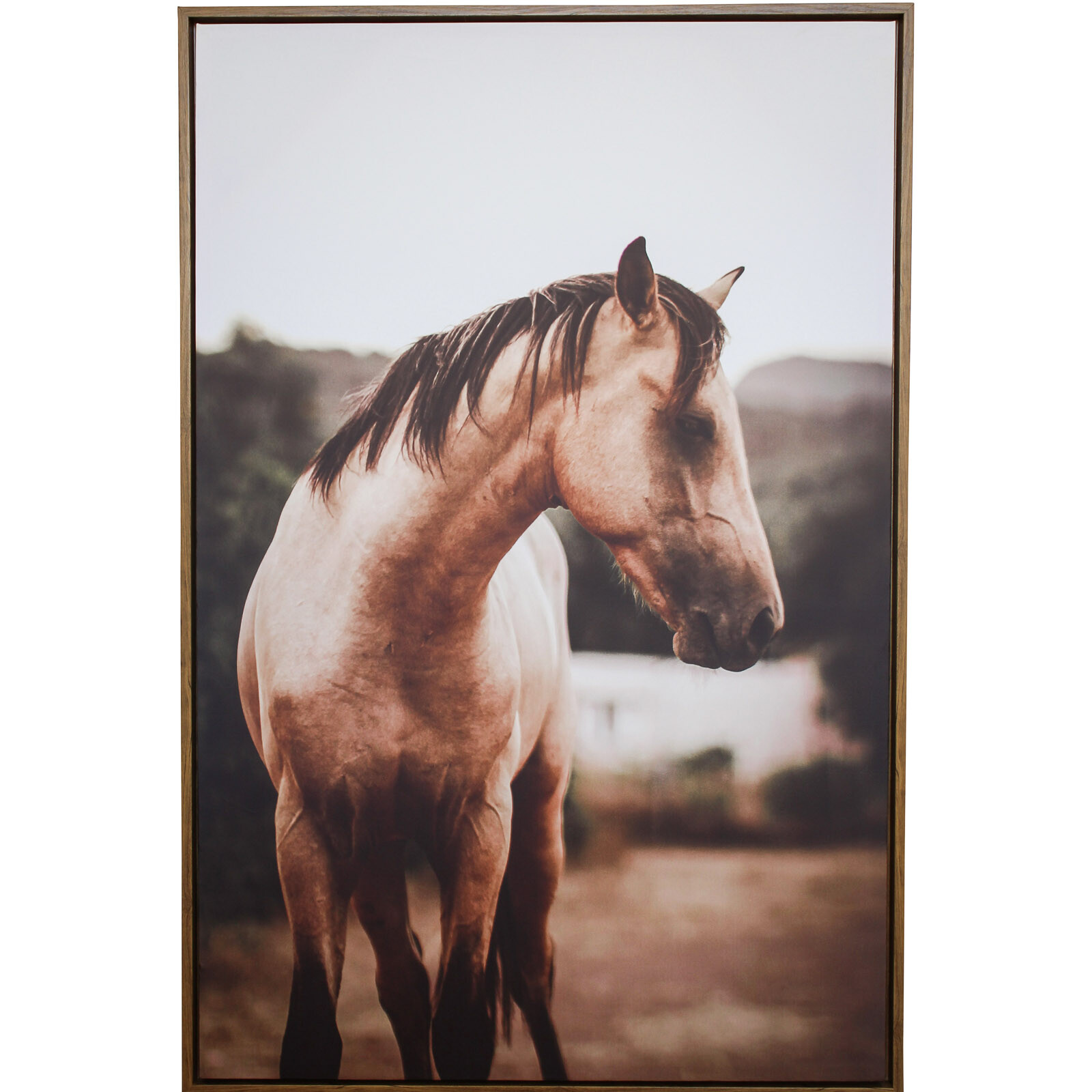 Framed Canvas Brumby