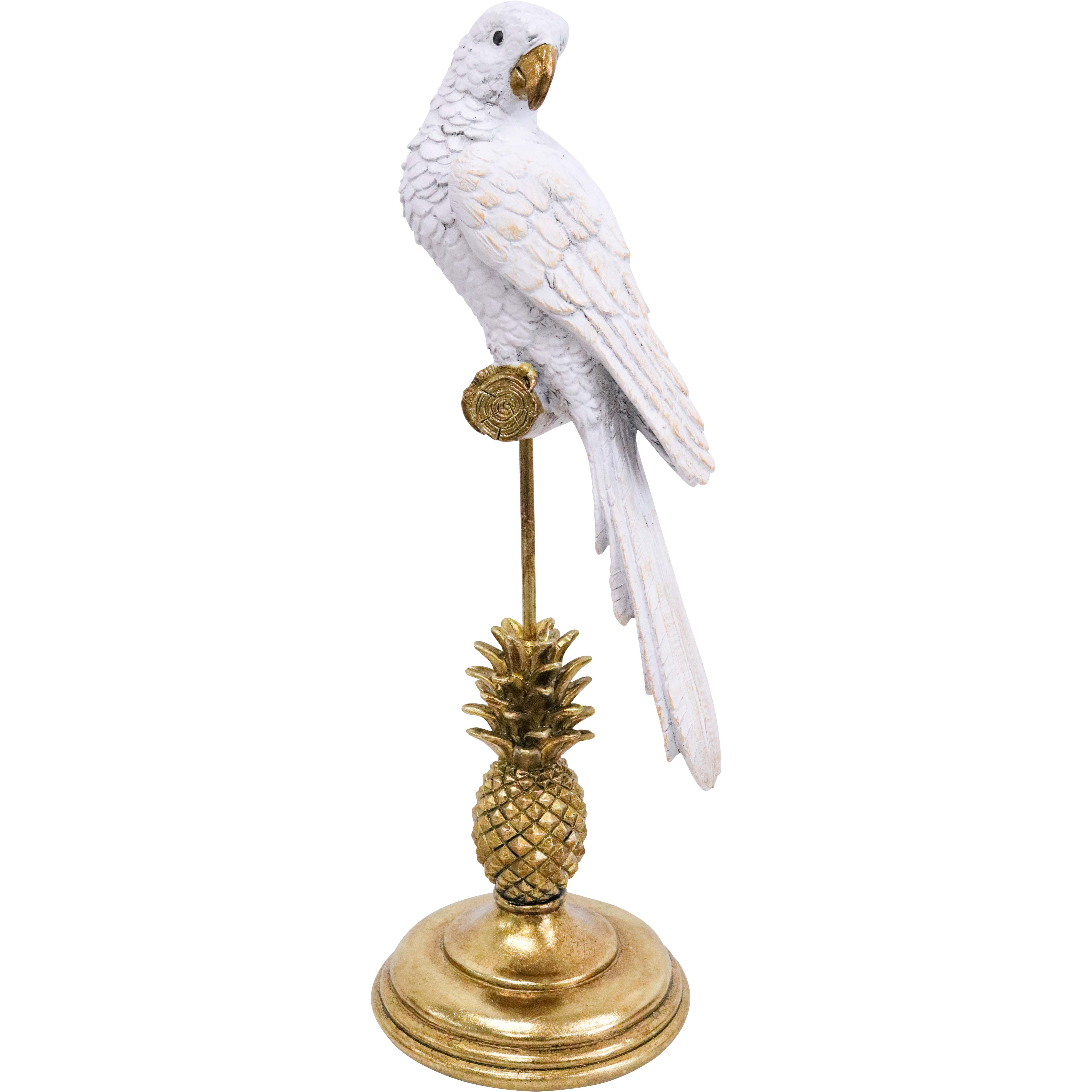 King Parrot Bahama Gold/Stand