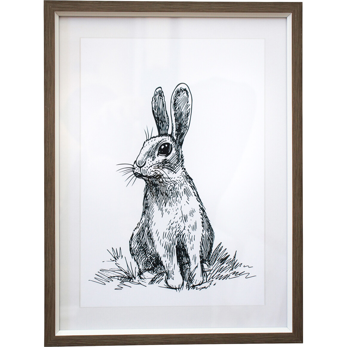 Framed Print Curiosity