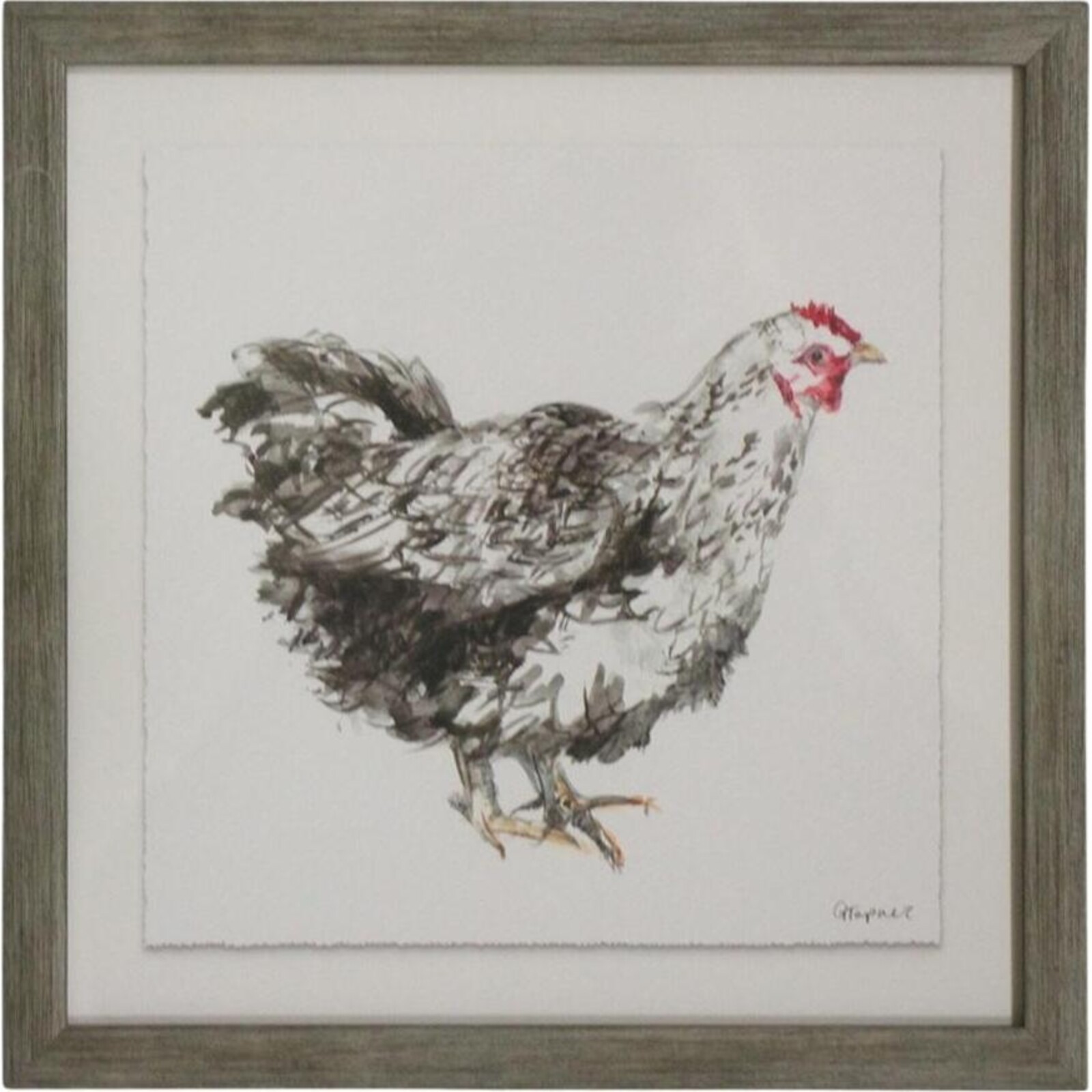 Framed Print Silver Chicken