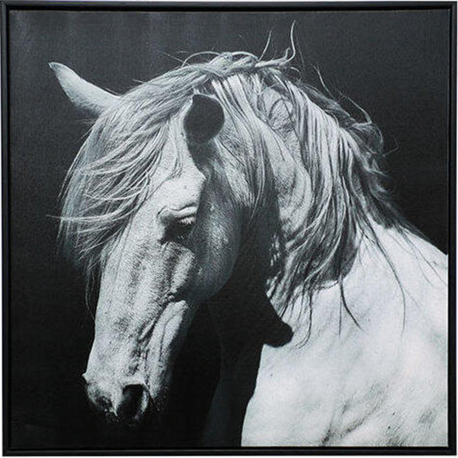 Framed Print White Horse