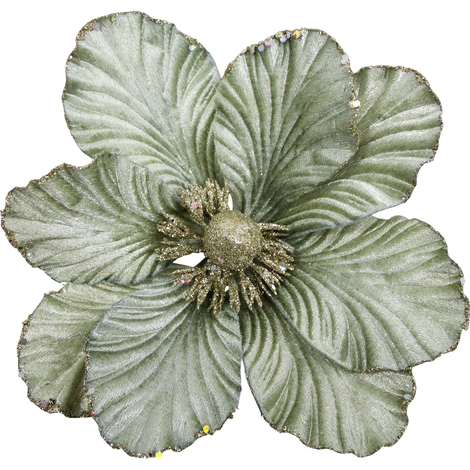 Velvet Flower Sage