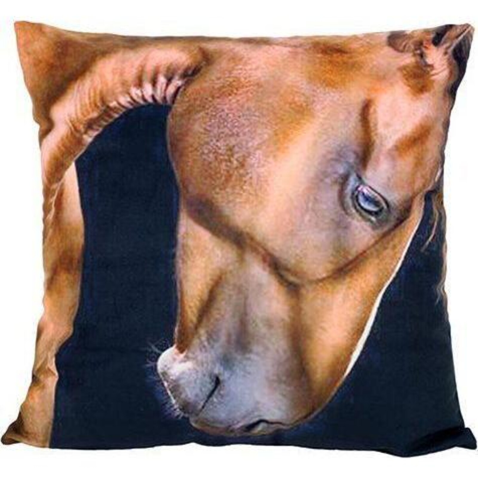 Cushion Horse Beauty