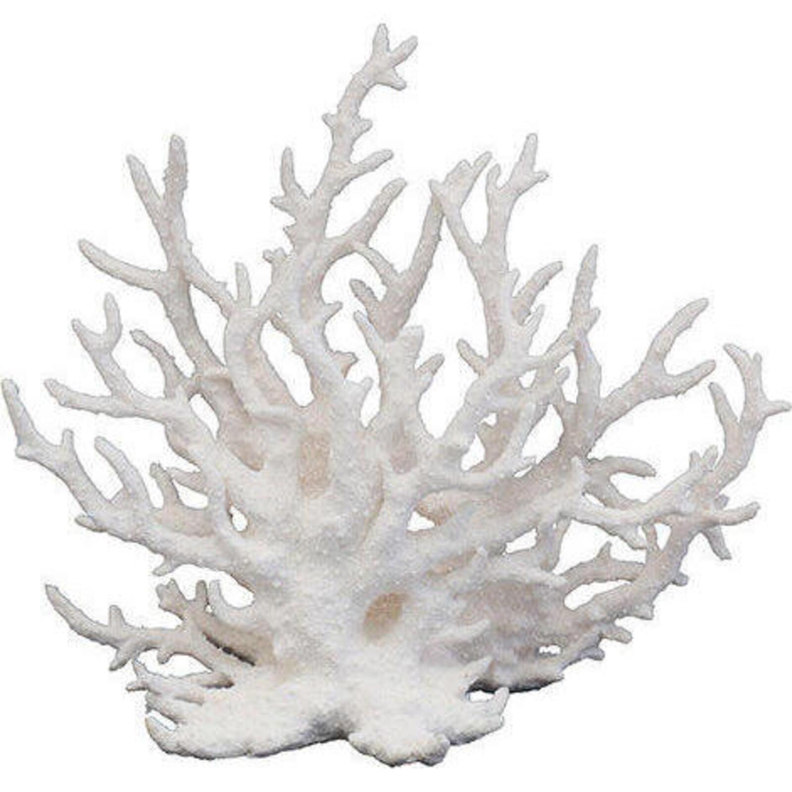 Coral Staghorn White Lrg
