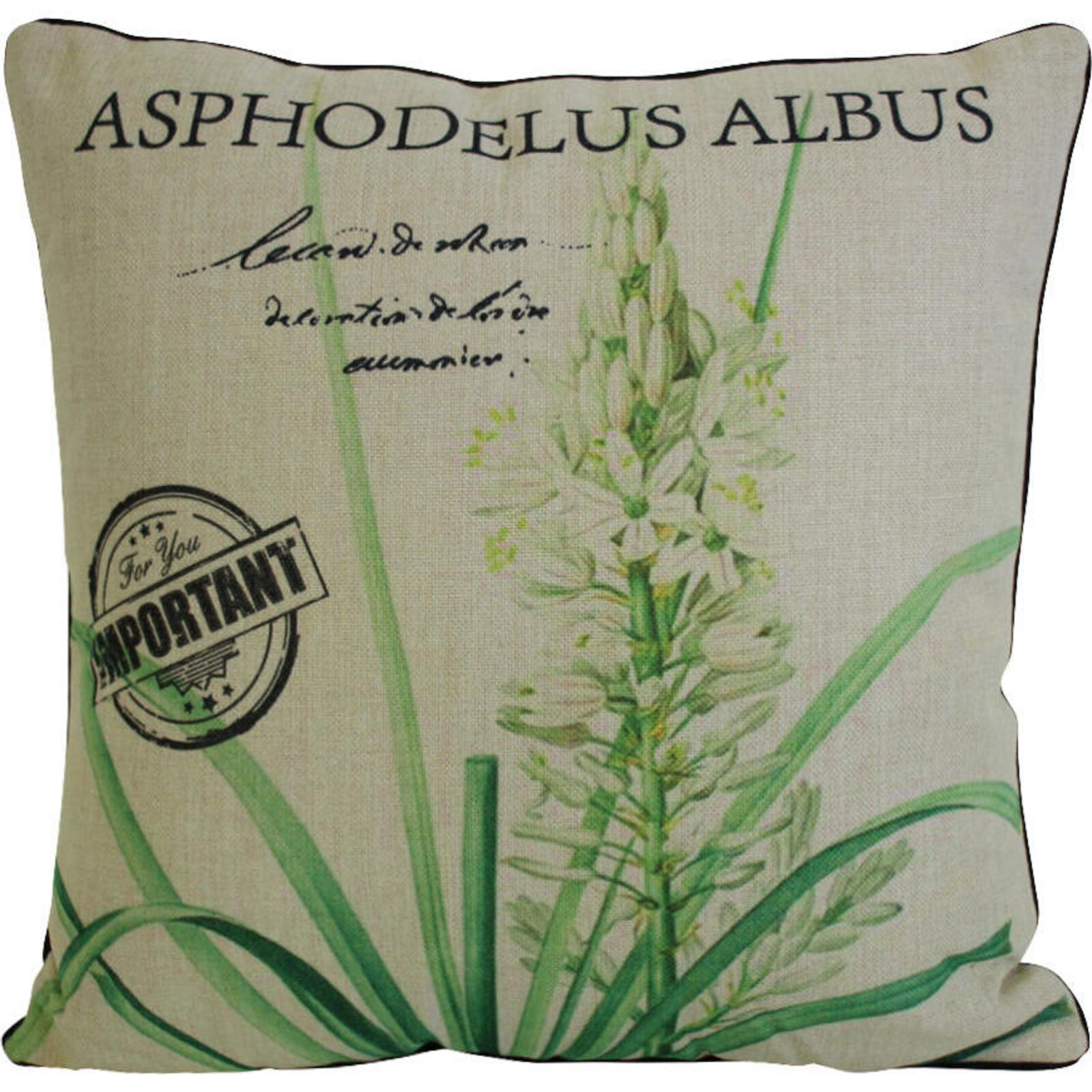 Cushion Classical Orchid