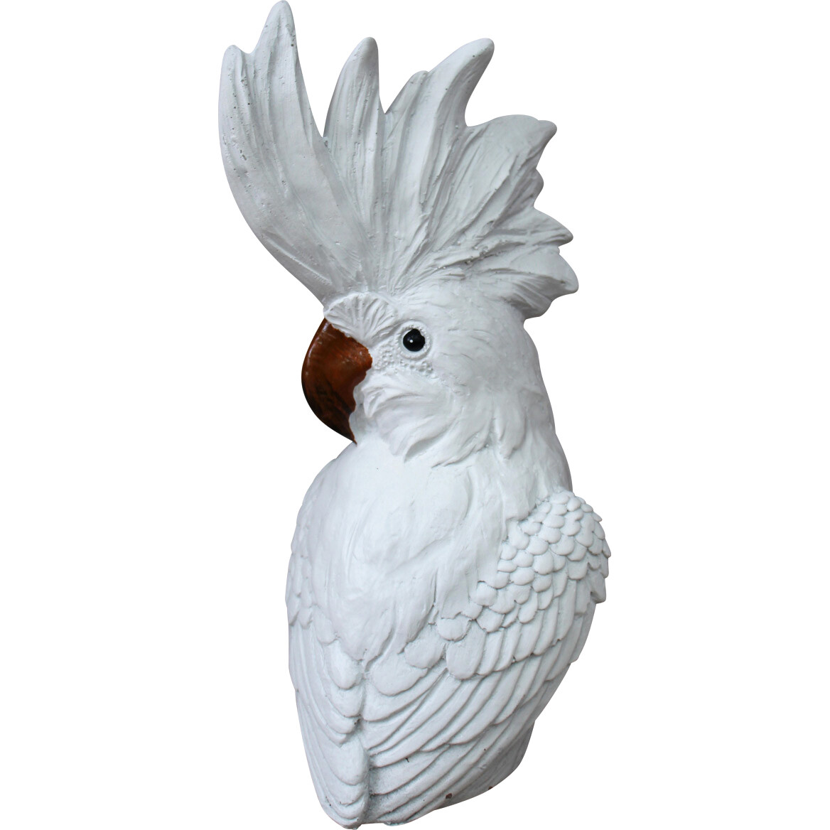 Cockatoo Med