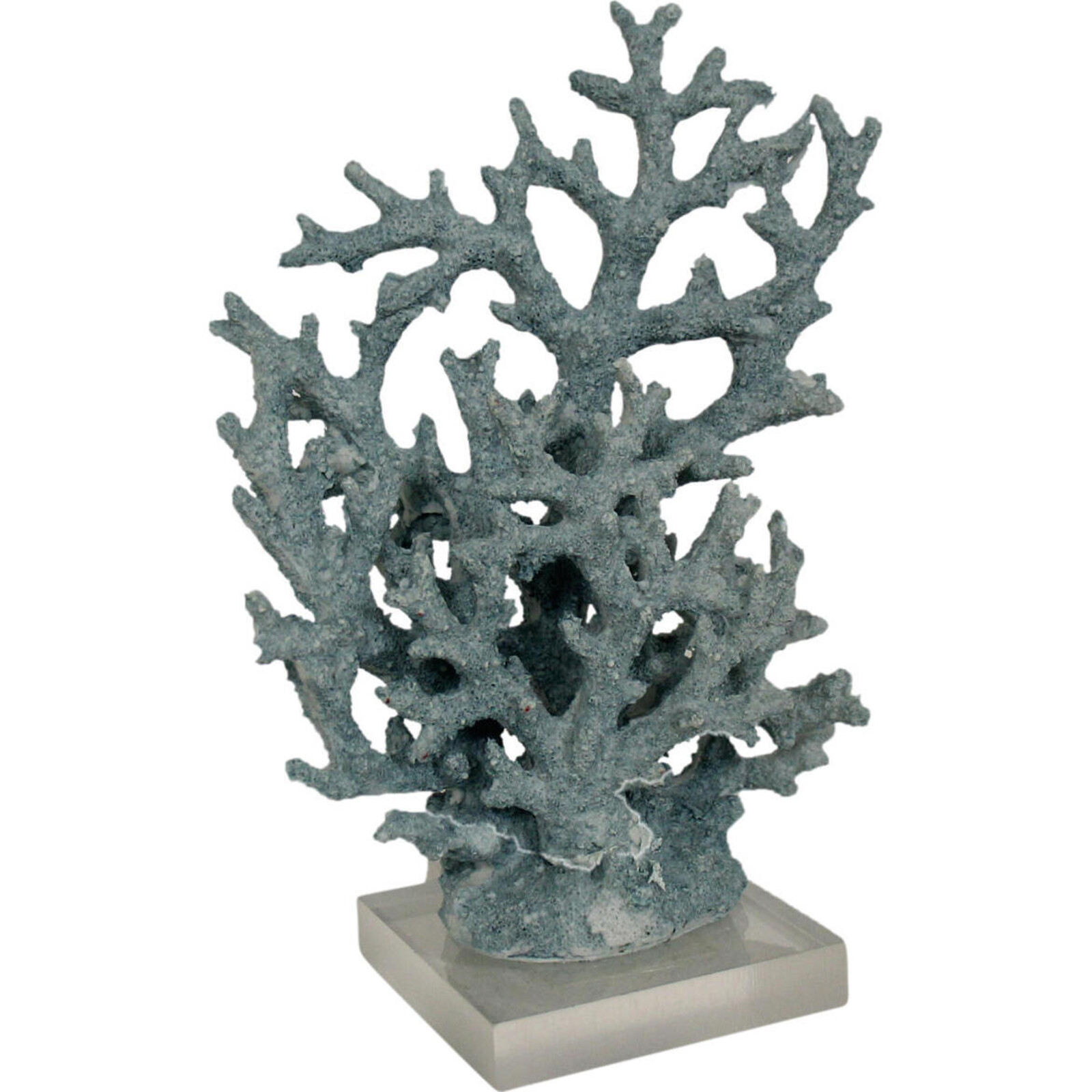 Coral Staghorn Blue Sml