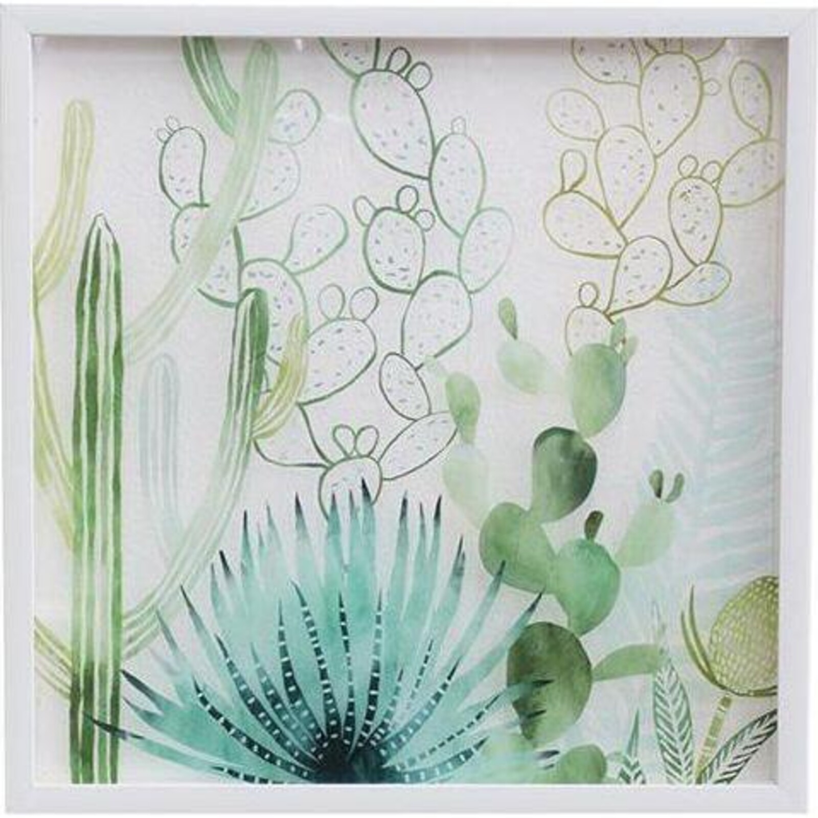 Framed Print Cacti