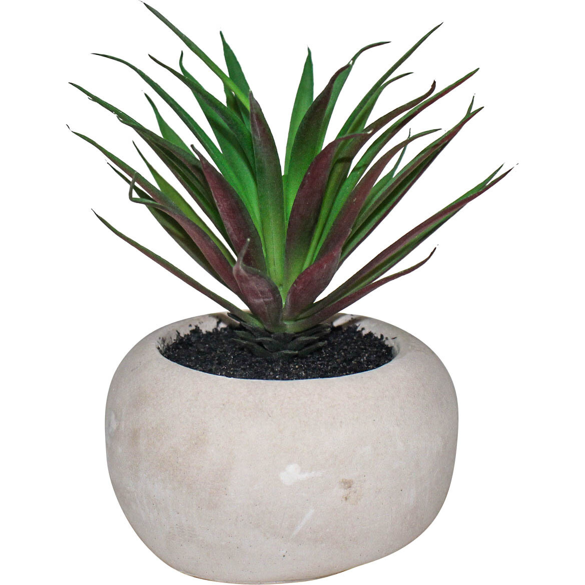 Succulent Cement Pot 1