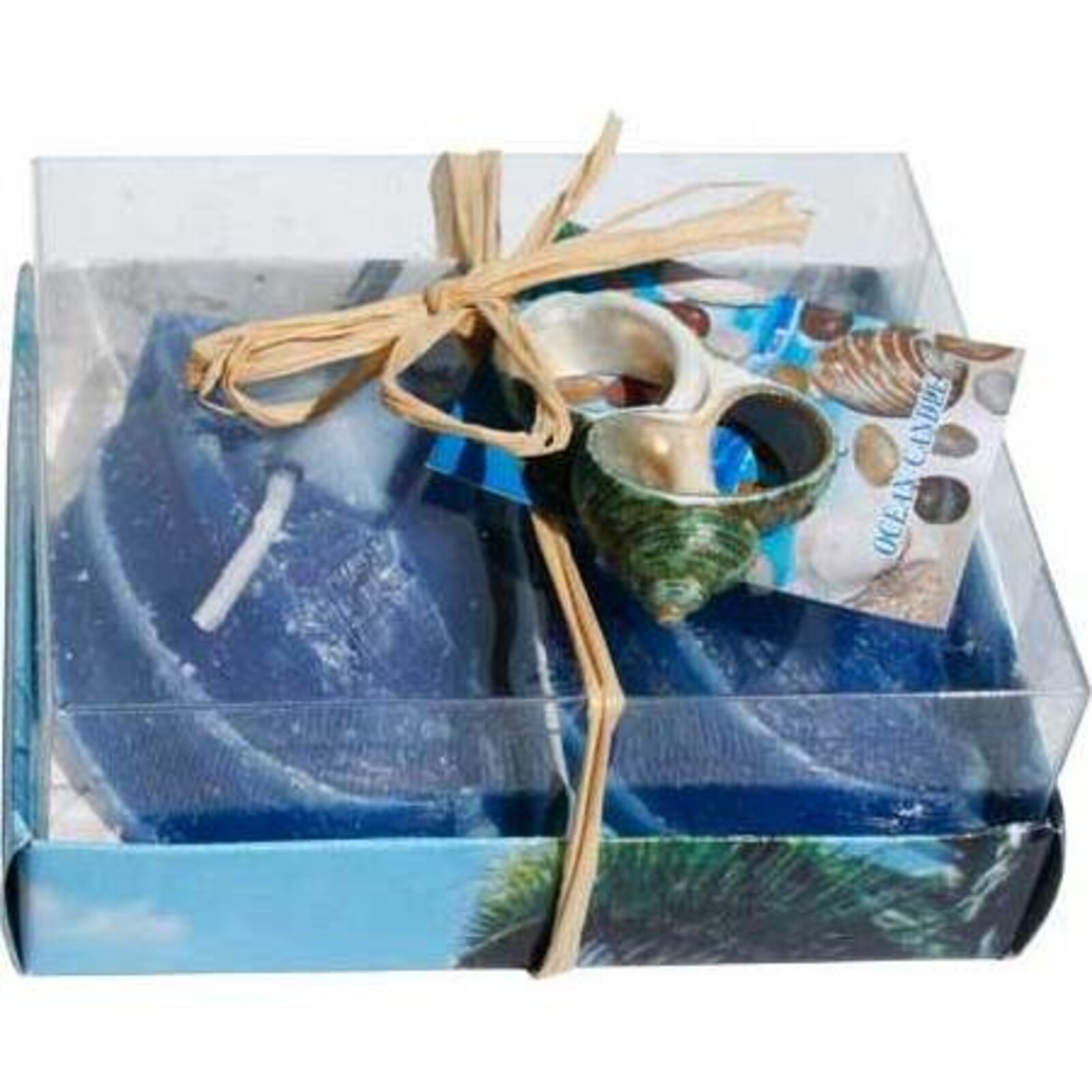 Boxed Shell Candle- Blue
