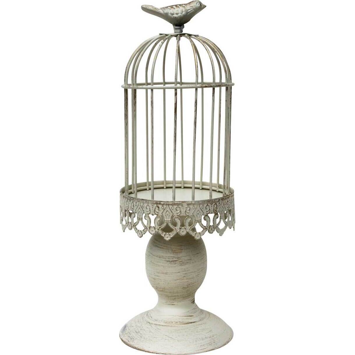 Lantern Goldbrush Bird Sml