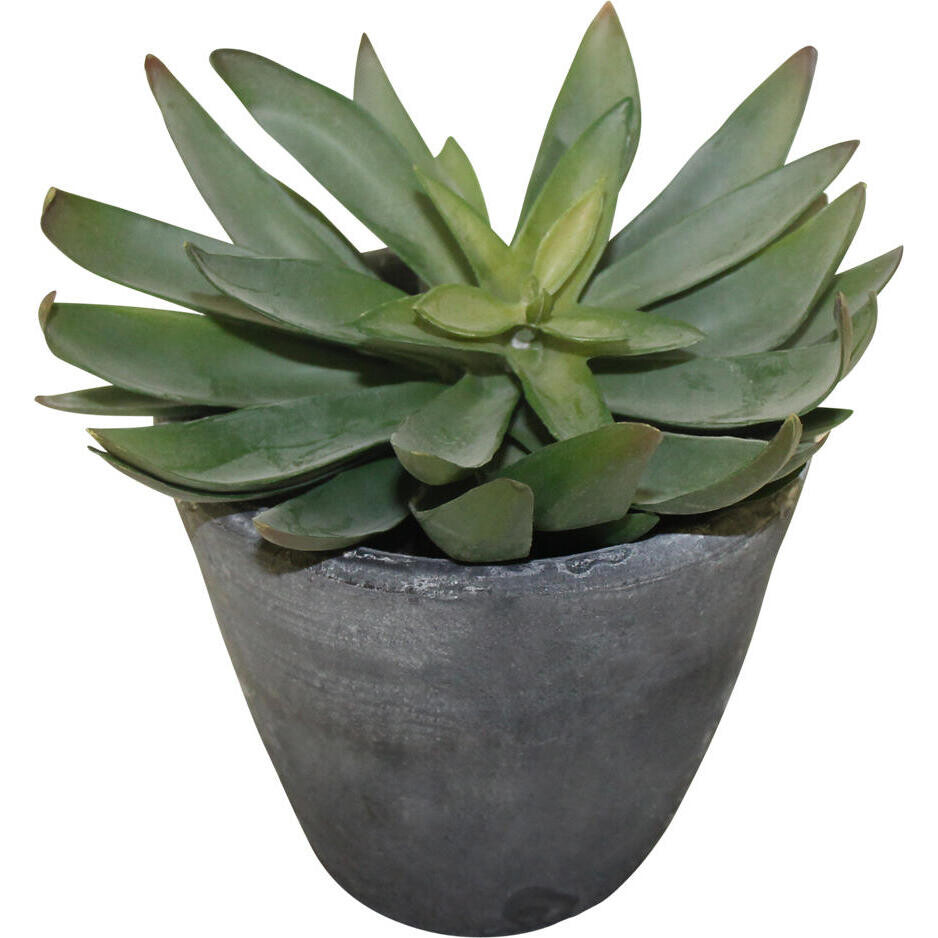 Artificial Plant Succulent Single