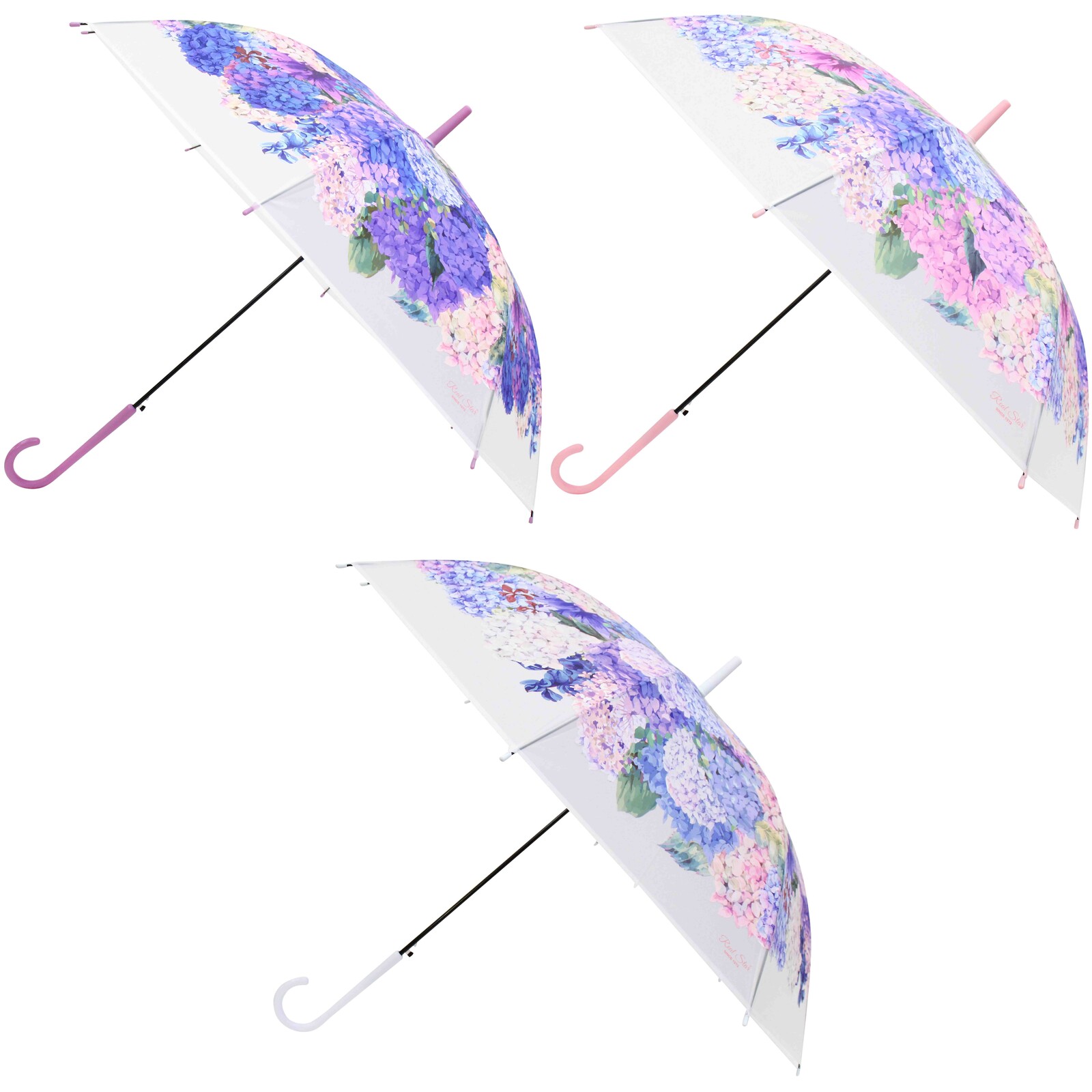 Umbrella Hydrangeas Asstd
