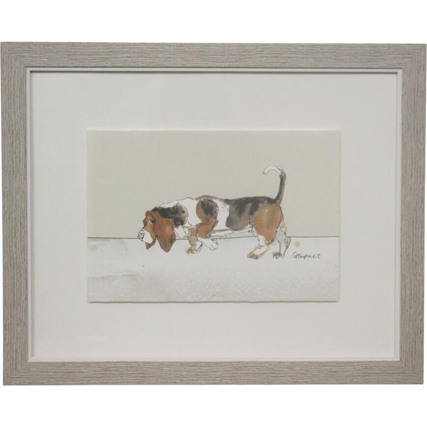 Framed Print Basset