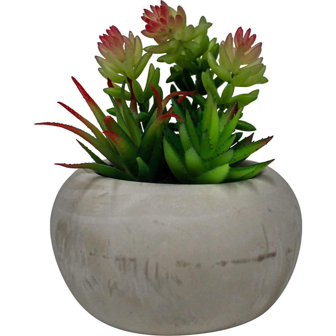 Succulent Cement Pot 2