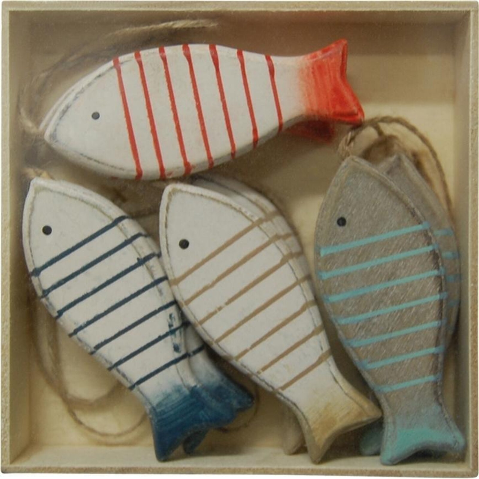 Box Fish Stripe Set/8