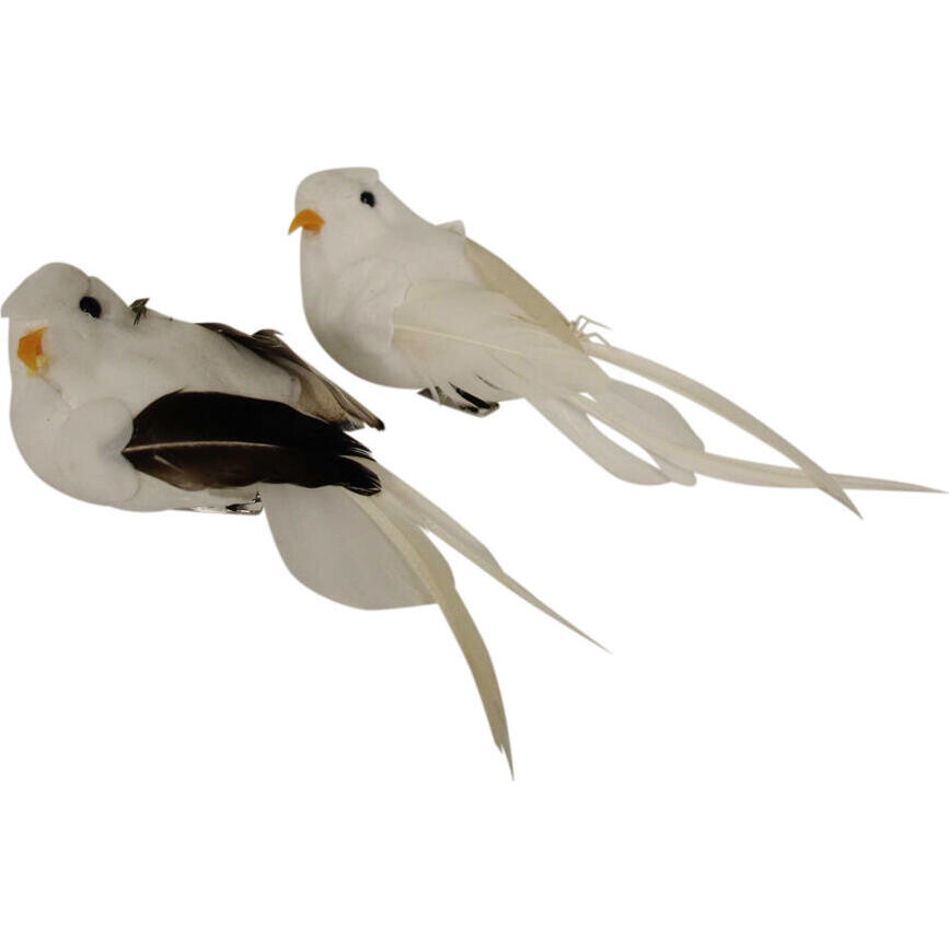 Clip Birds White Dove