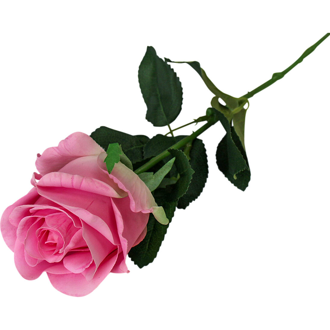 Long Stem Rose Pink