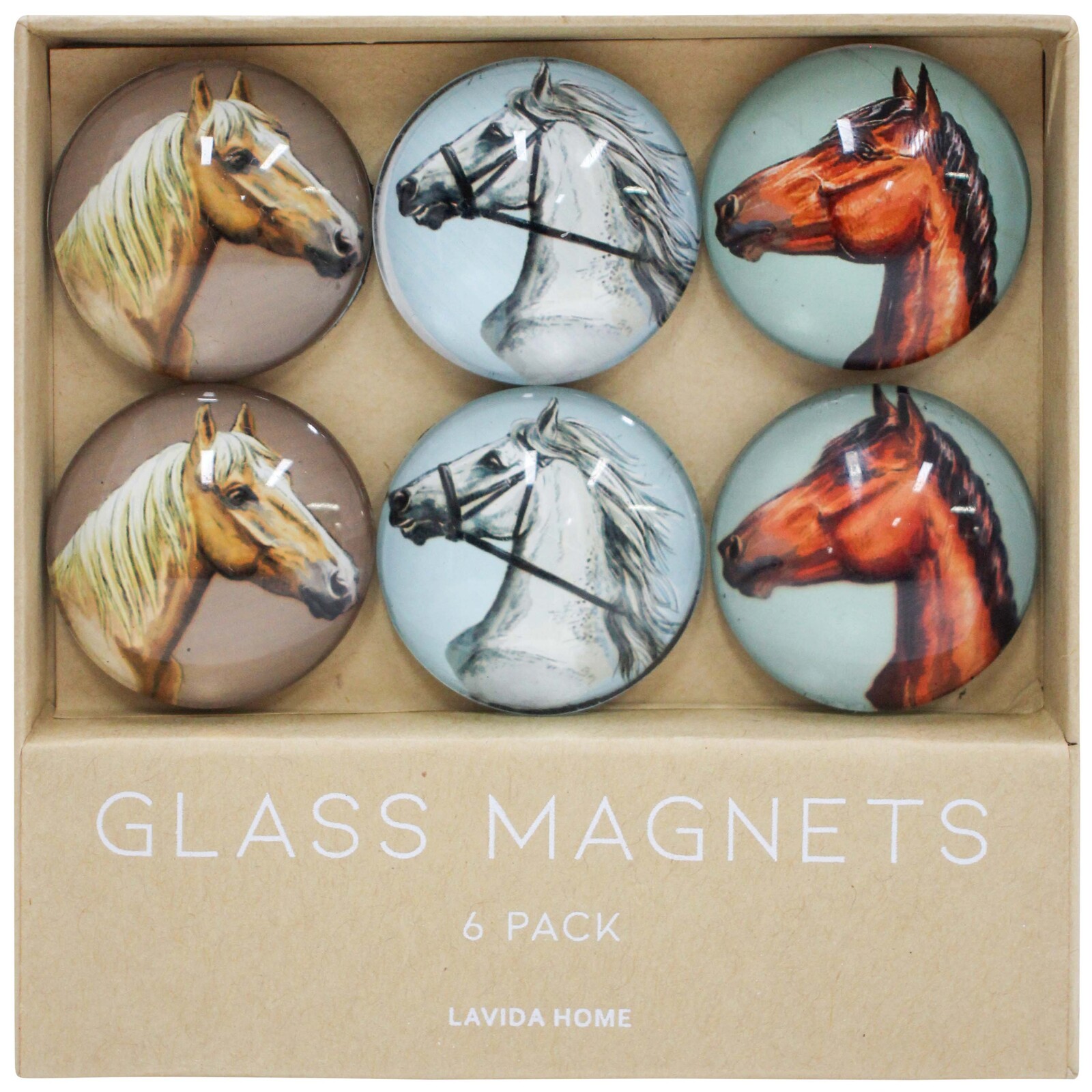 Glass Magnets S/6 Horse